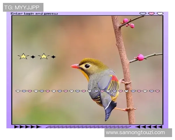 小鸟这一昵称背后隐藏的足球明星是谁揭秘他的传奇故事与成就